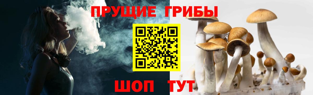 Галлюциногенные грибы Psilocybe  Псилоцибиновые грибы мицелий  Вход с VPN  Великие Луки 